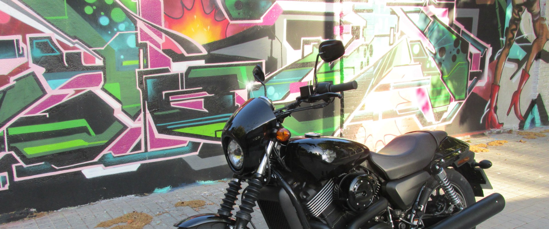 Harley Davidson Street 750 Customer Reviews