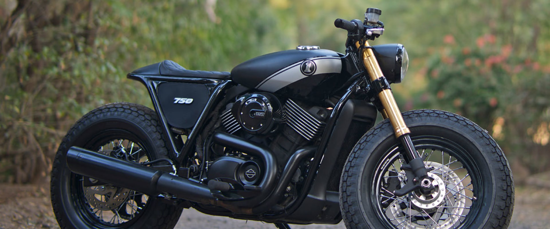 A Comprehensive Overview of the Harley Davidson Street 750